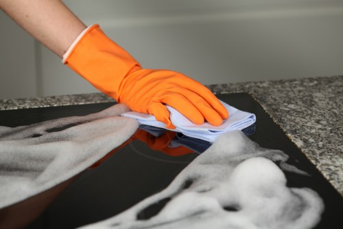 Carpet cleaning service terms and conditions introduction
