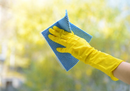 Professional stain removal for carpets and upholstery in N22