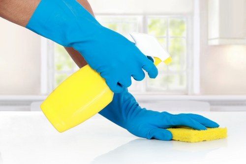 Professional oven cleaning service for homes in N22