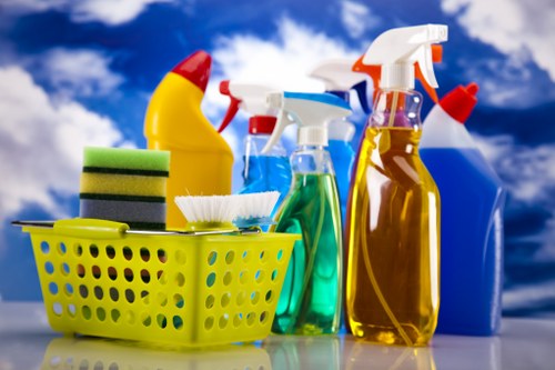 Professional upholstery cleaning for a sofa in an N22 home