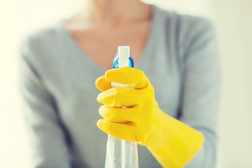 Regular cleaning service in N22 for a tidy family home