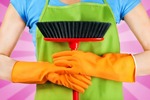 Deep cleaning treatment for pet stains on upholstery in N22