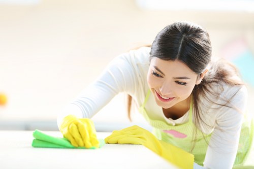 Regular home cleaning service in N22 for family properties and apartments