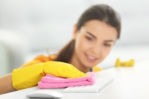 Local cleaner working in a North London property in N22