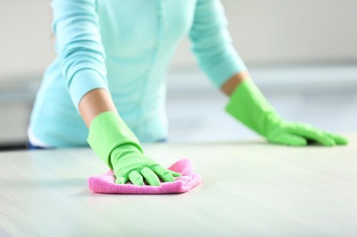 Professional domestic cleaning in N22 for bathrooms and shared households