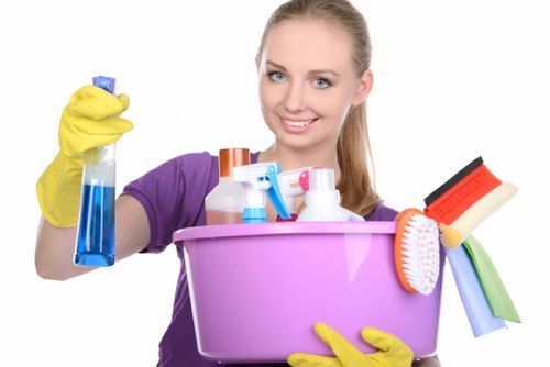 Local cleaner maintaining a flat in the N22 area